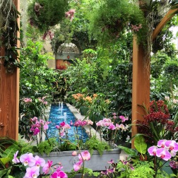 As you enter the conservatory, you are confronted with every color orchid under the sun.The orchid arbor had beautiful sight lines to fountains.