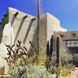 At the head of the Desert Discovery trail there is my dream house.