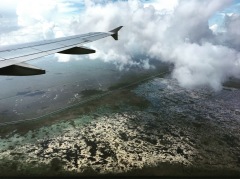 A view of the Everglades from the plane.
